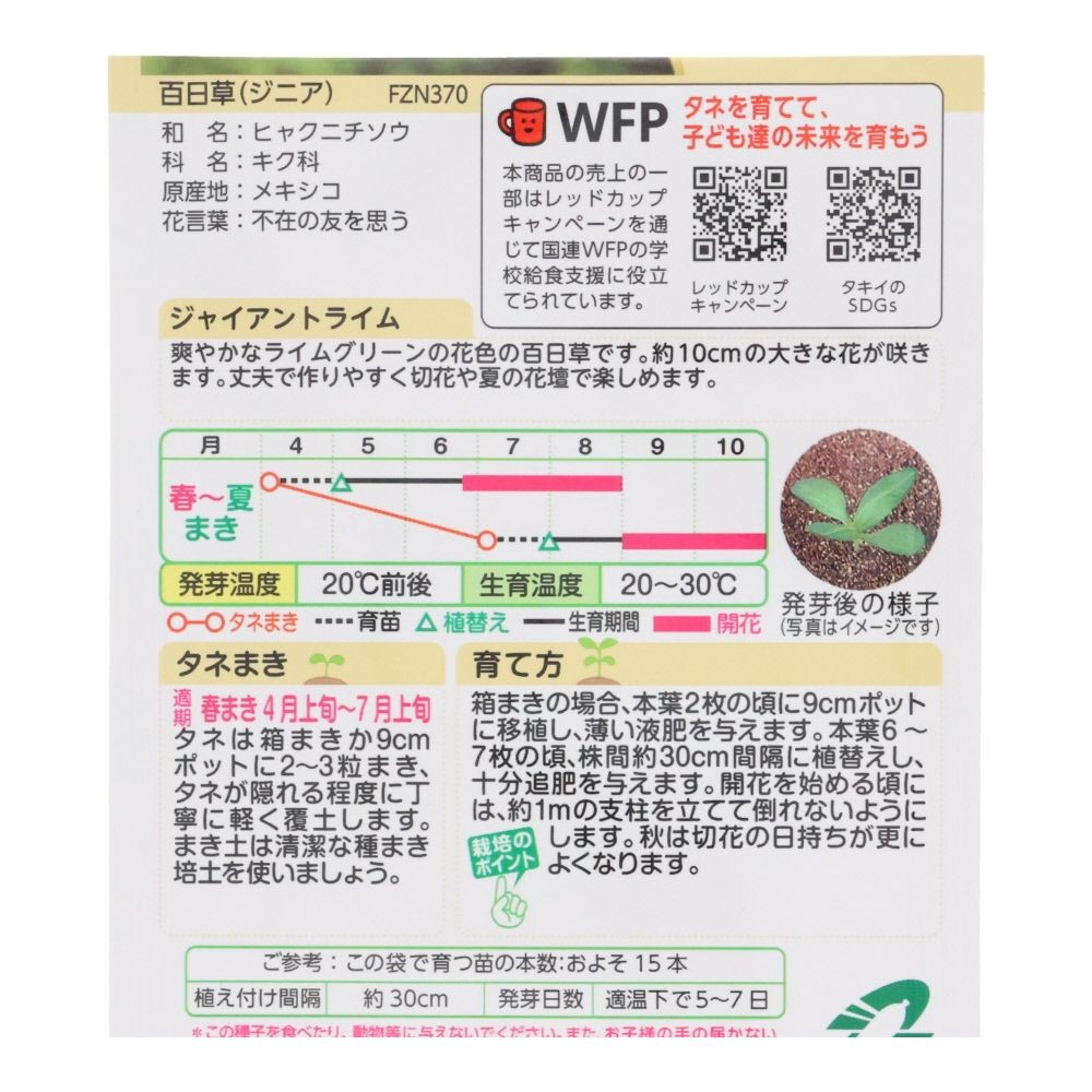 タキイ　百日草　ジャイアントライム, 百日草, 20粒