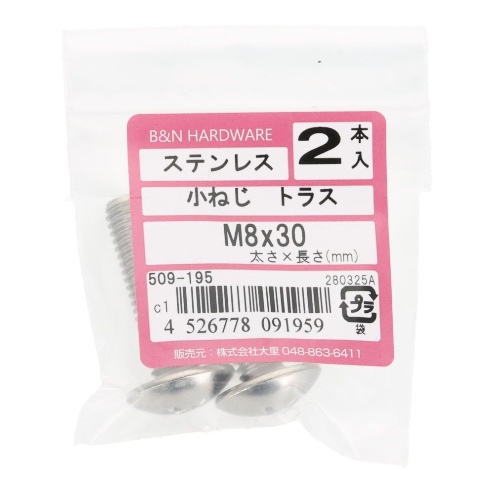 ＯＨＳＡＴＯ　ステン　コネジ　トラス　Ｍ８&times;３０, ステンレス, 2本入り