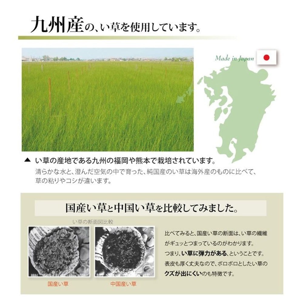 純国産 い草 上敷き カーペット 糸引織 『柿田川』 江戸間 【メーカー直送・代引不可】, い草, 江戸間2畳(約176&times;176cm）