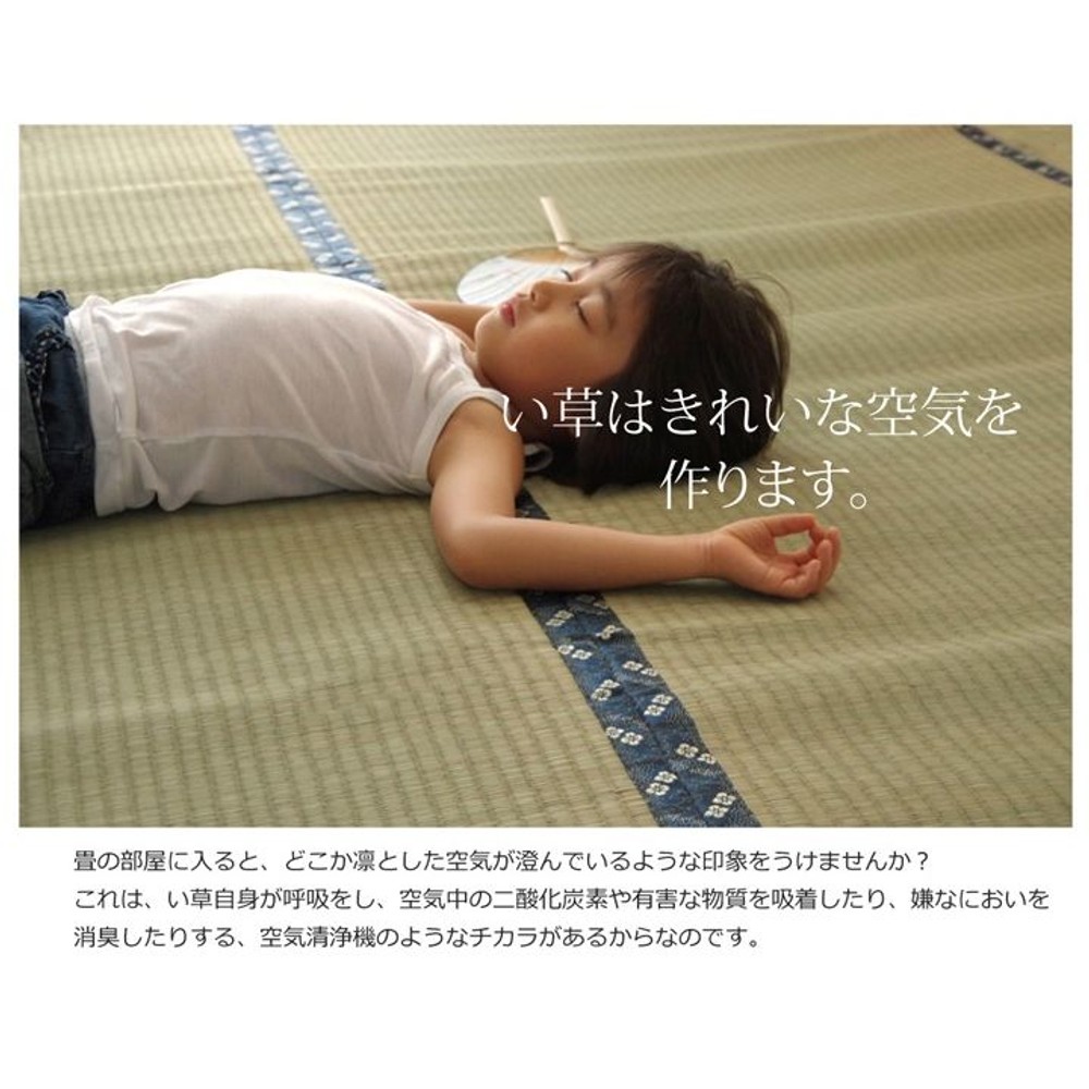純国産 い草 上敷き カーペット 糸引織 『梅花』 本間 【メーカー直送・代引不可】, い草, 本間1畳