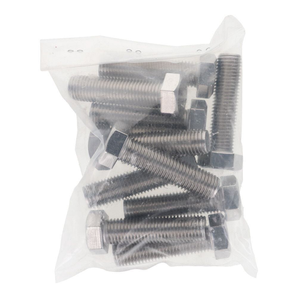 ステンレス　六角ボルト　Ｍ１６&times;６０　１０入, ボルト, M16&times;60