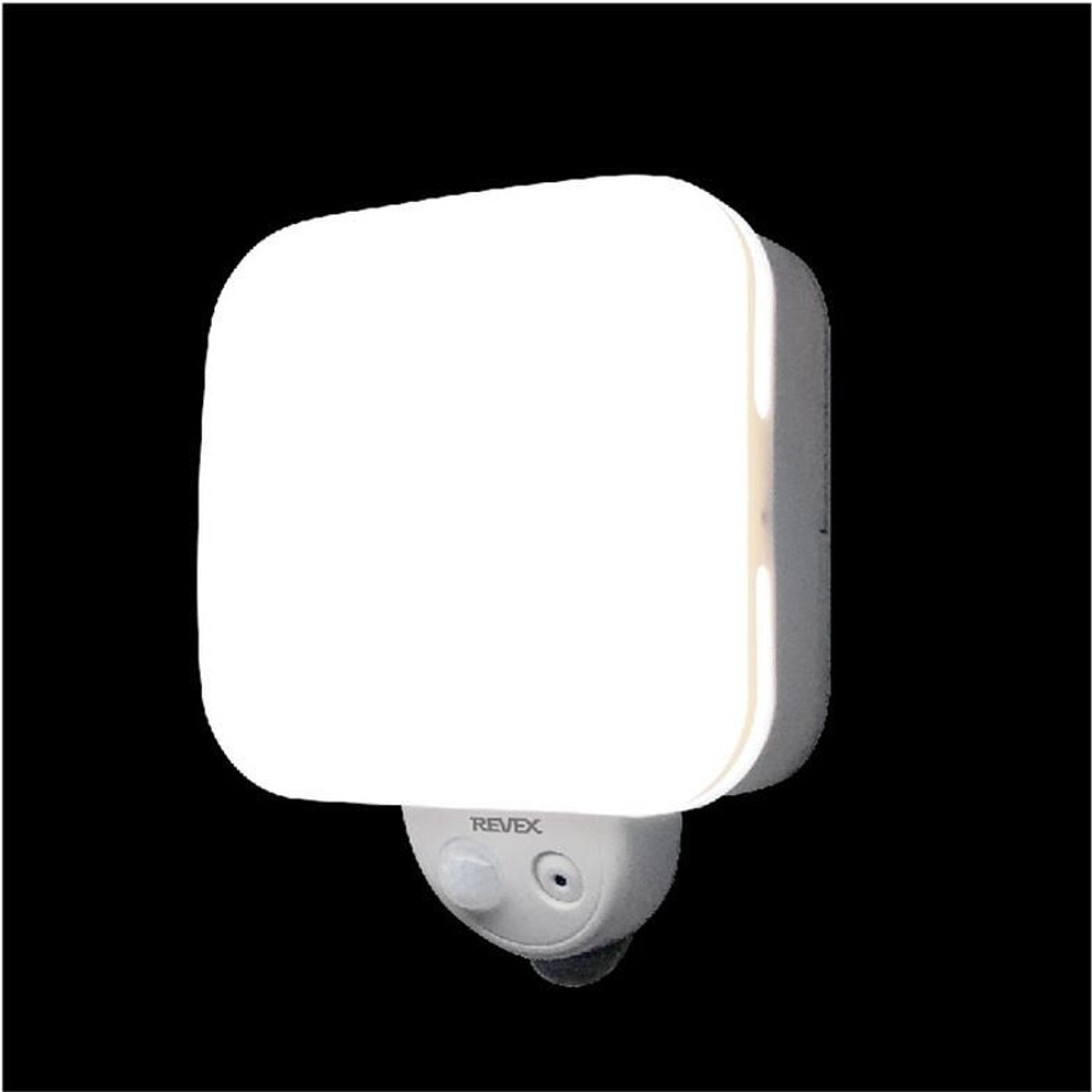 リーベックス REVEX センサーライト型防犯カメラ SD500, セード：乳白色, SD500