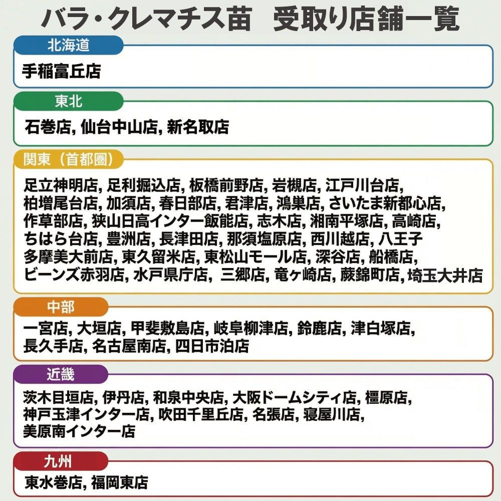 【店頭受取　予約商品】シャンパーニュ, アプリコット, 7cm