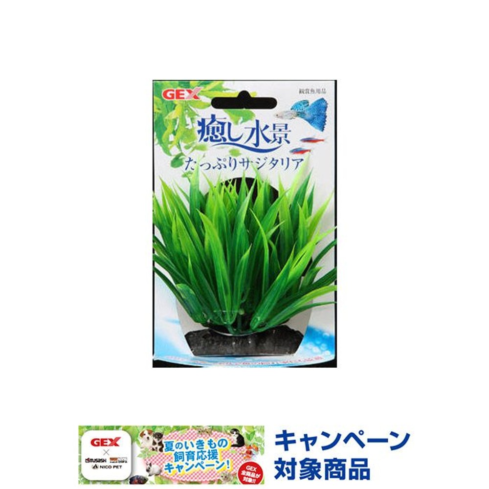 癒し水景　たっぷりプランツ　サジタリア, -, -