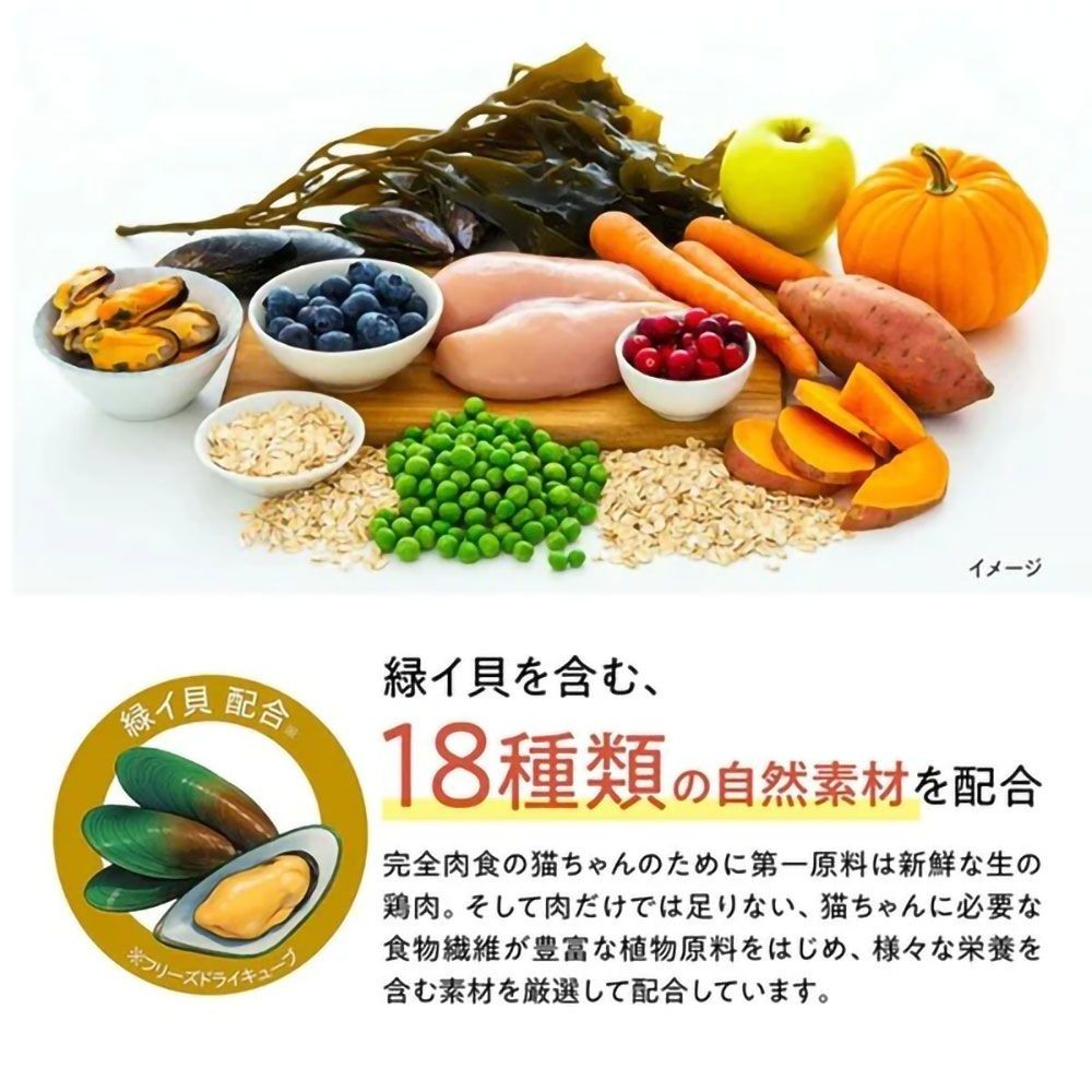 ジェックス Catit Recipes KITTEN 子猫用 生後12ヶ月まで チキン 400g, チキン, 400g
