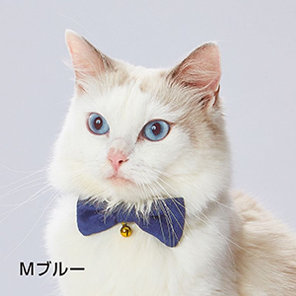 ペティオ　ｎｅｃｏｃｏリボン付キャットカラー, レッド, Sサイズ