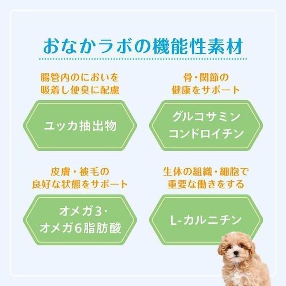 森乳 スーパーゴールド おなかラボ 体重調整用 800g, 体重調整用, 800g