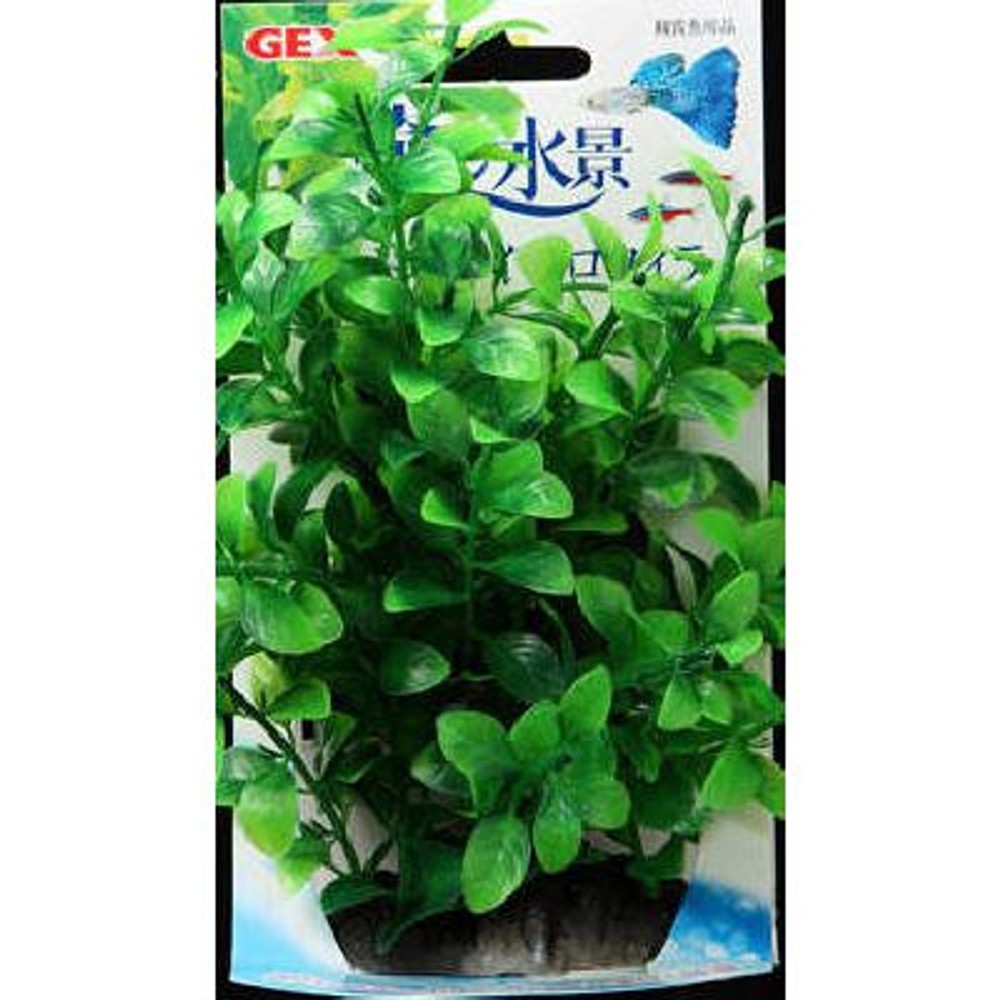 癒し水景　たっぷりプランツ　ハイグロフィラ, -, -