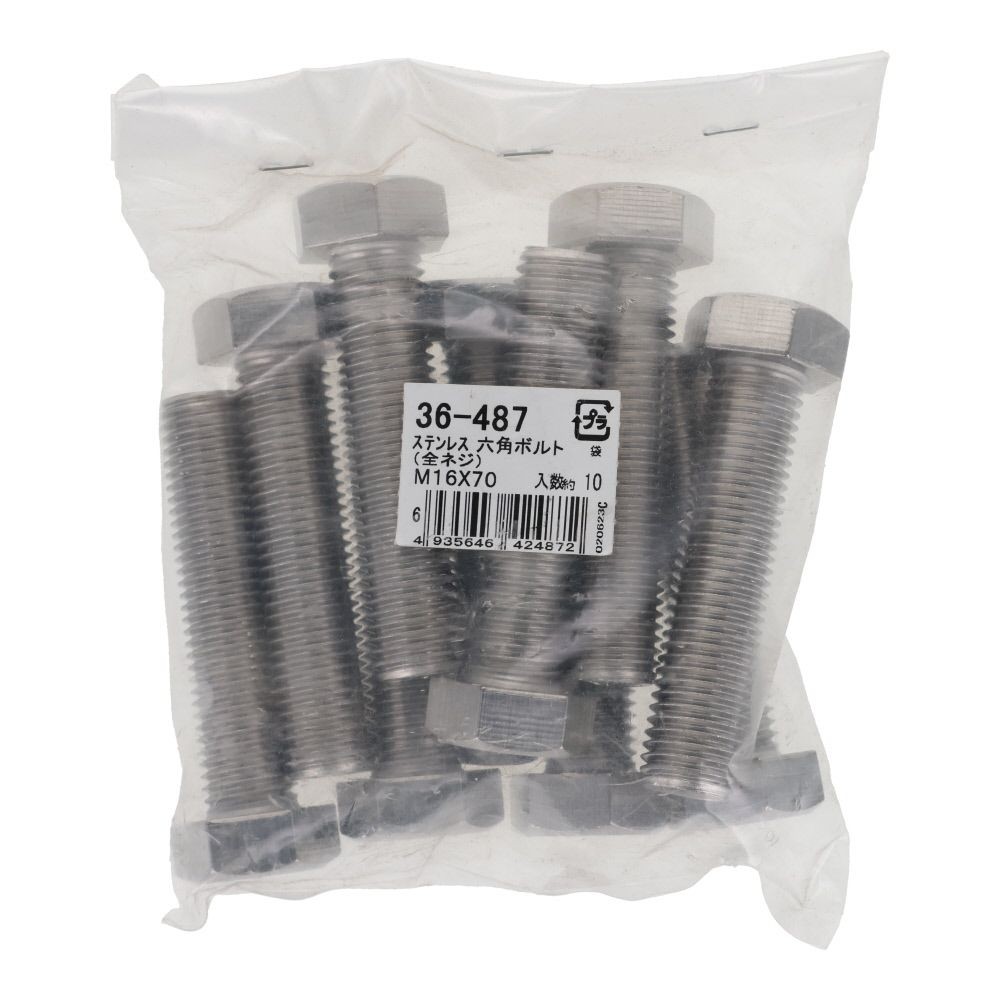 ステンレス　六角ボルト　Ｍ１６&times;７０　１０入, ボルト, M16&times;70