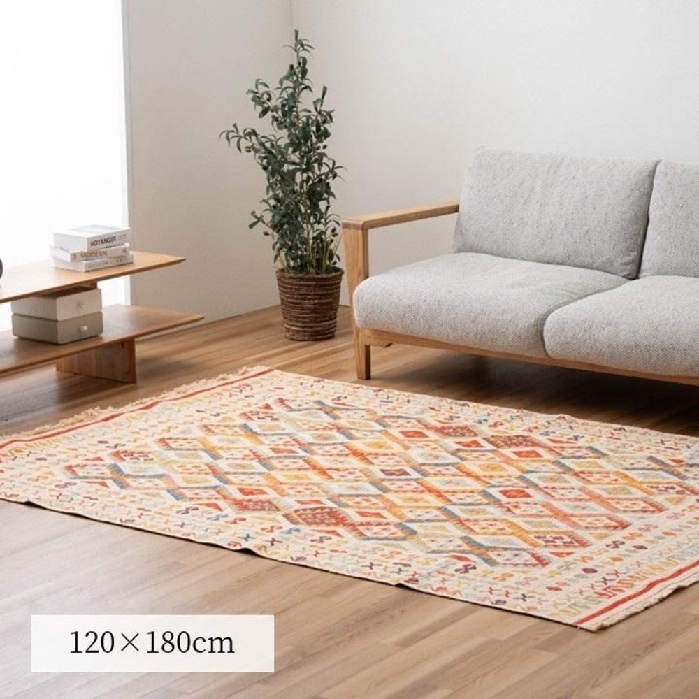 イケヒコ カーペット・ラグ ラドラ  トルコ製 【メーカー直送・代引不可】, トルコ製, 120&times;180cm