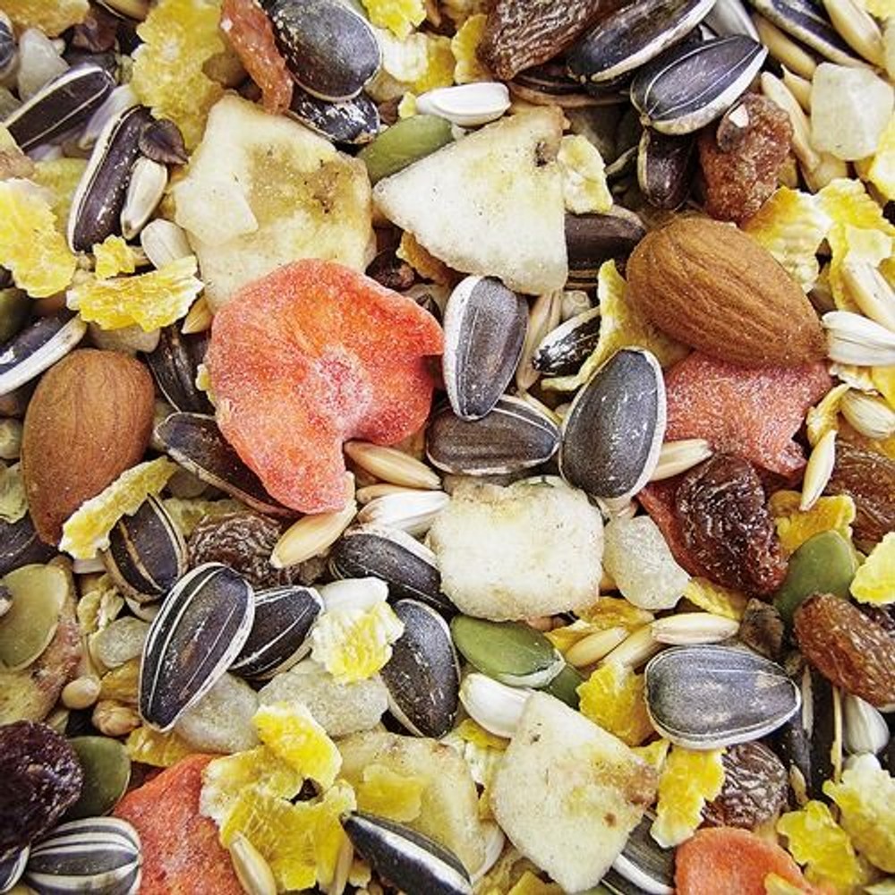 ＮＰＦ　バードテイスト　大型インコ　900ｇ, 大型インコ、オウム専用, 900g