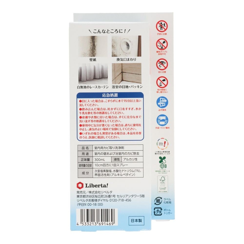 カビトルネード 室内壁用カビ取りスプレー 300ml, 室内壁用, 300ml