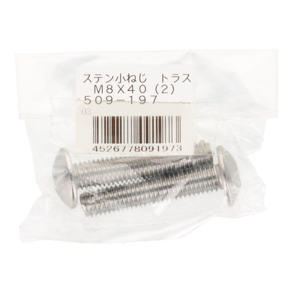 ＯＨＳＡＴＯ　ステン　コネジ　トラス　Ｍ８&times;４０, ステンレス, 2本入り