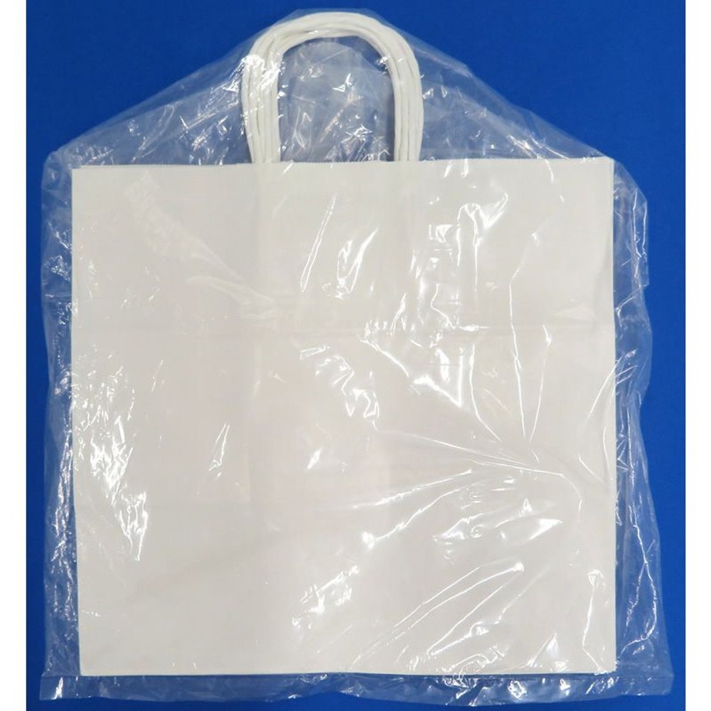 手提袋34ー1　白無地　5Ｐ, その他カラー１, その他サイズ１