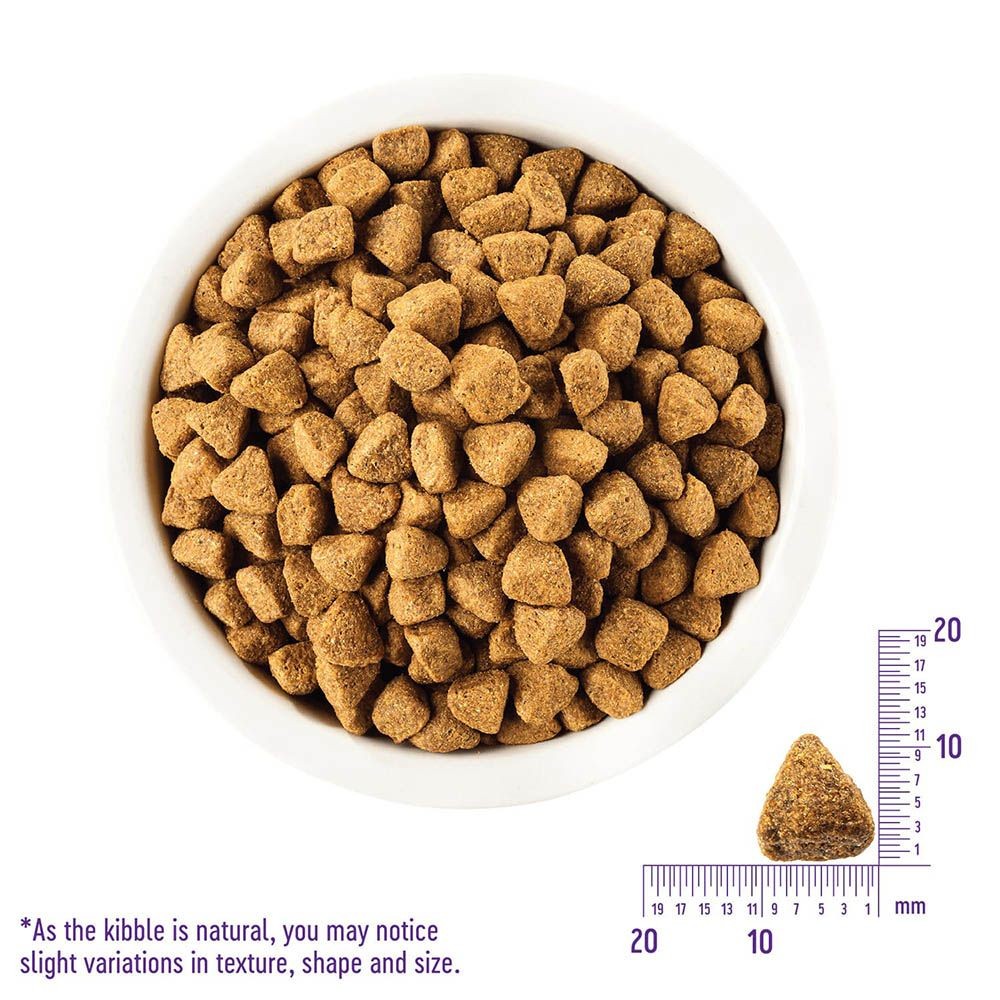 ウェルネス シンプル 全犬種用 体重管理用 （1歳以上用 ） サーモン＆じゃがいも 800g, サーモン&じゃがいも, 800g
