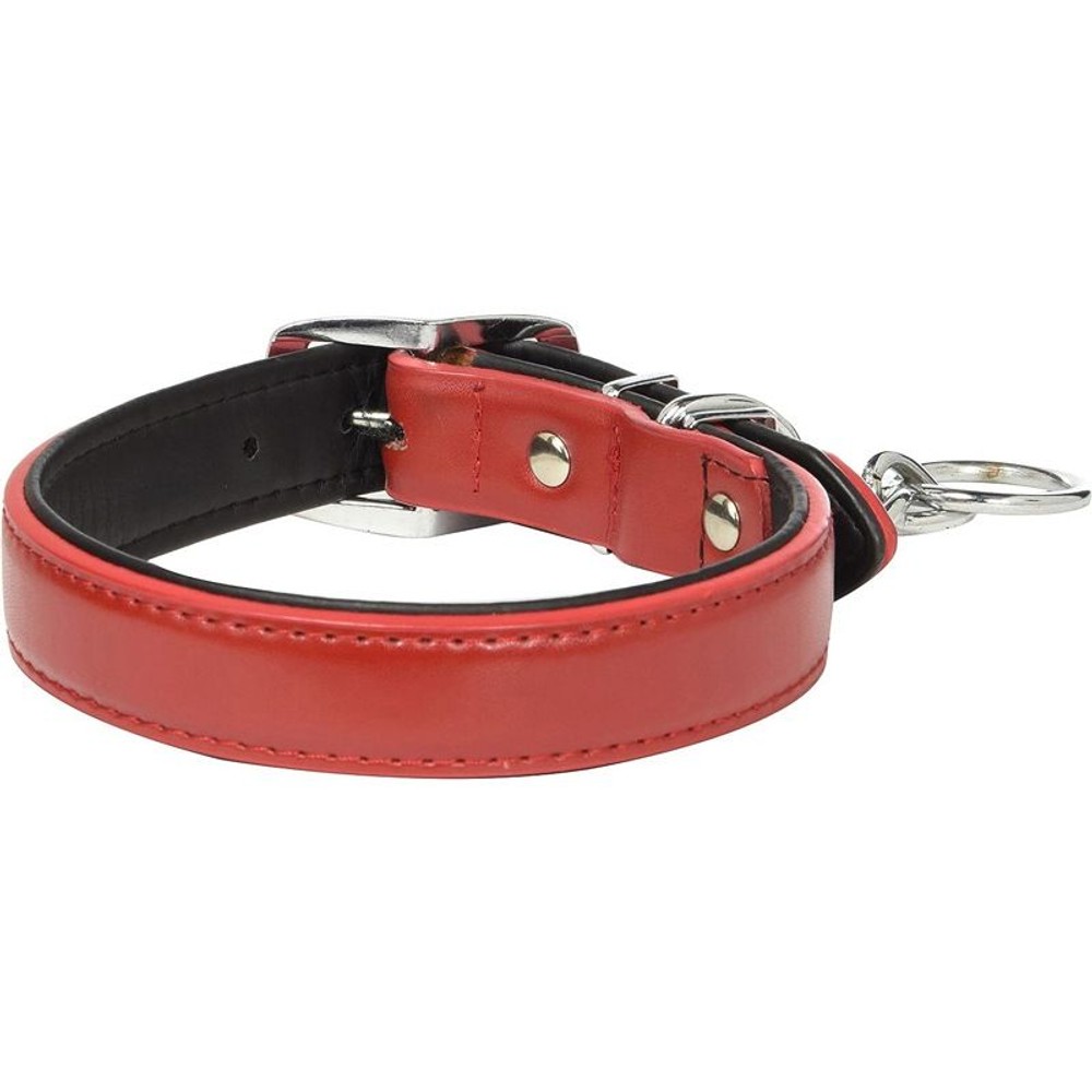 アース　係留平革首輪, 青, その他サイズ１