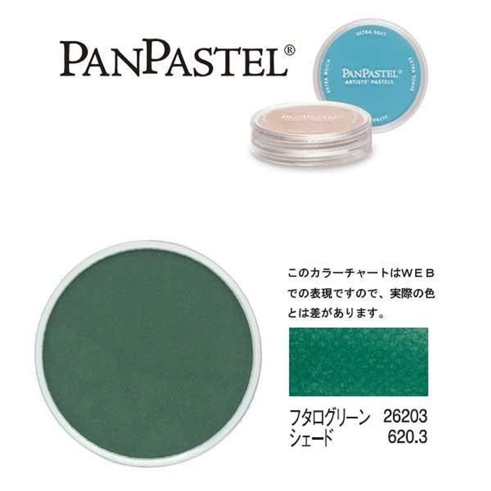パンパステル 26203 フタログリーン シェード, フタログリーン シェード, 9ml 単品