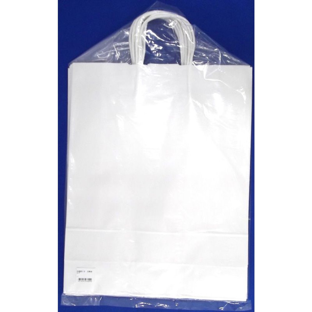 手提袋2才　白無地　5Ｐ, その他カラー１, その他サイズ１