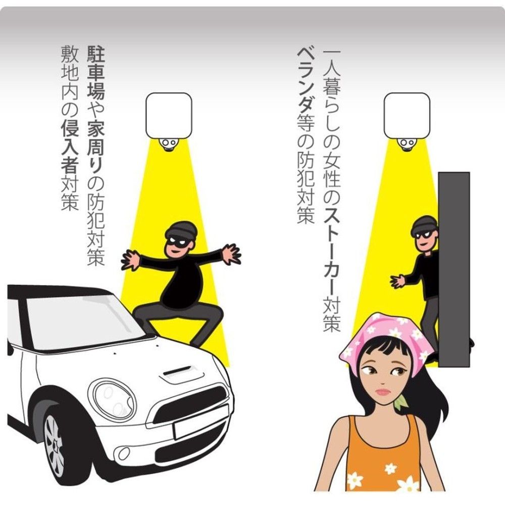 リーベックス REVEX センサーライト型防犯カメラ SD500, セード：乳白色, SD500