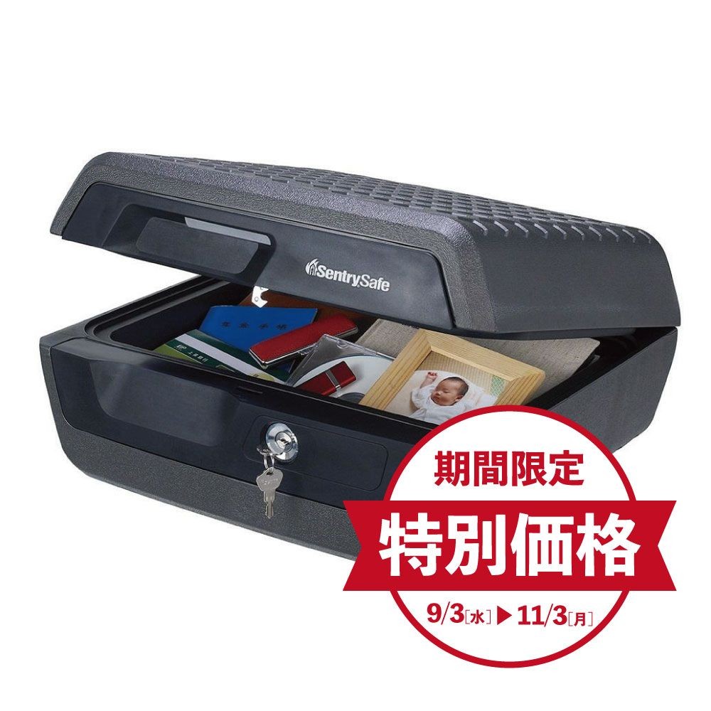 【期間限定特別価格】セントリー ポータブル耐火・防水保管庫 CHW30100, ブラック, CHW30100