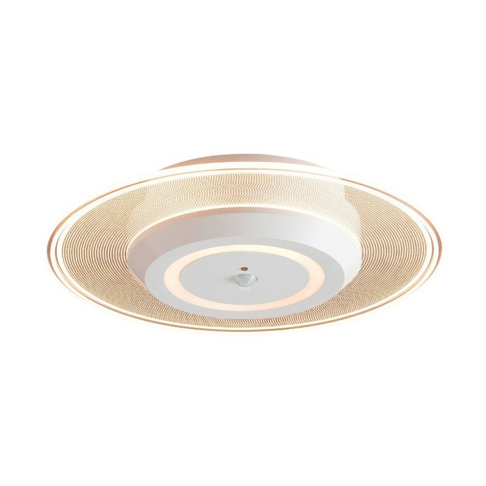 導光板小型シーリングライトＳＣＬ, その他カラー１, その他サイズ１