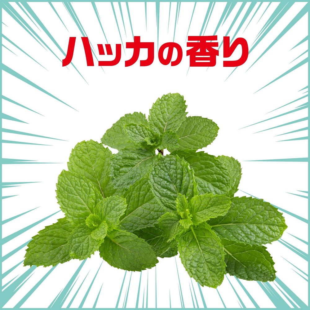 アース　ゴキッシュ　スッ、スゴい！　ハッカの香り　６０プッシュ　１６ｍｌ, ゴキブリ用, 16ml