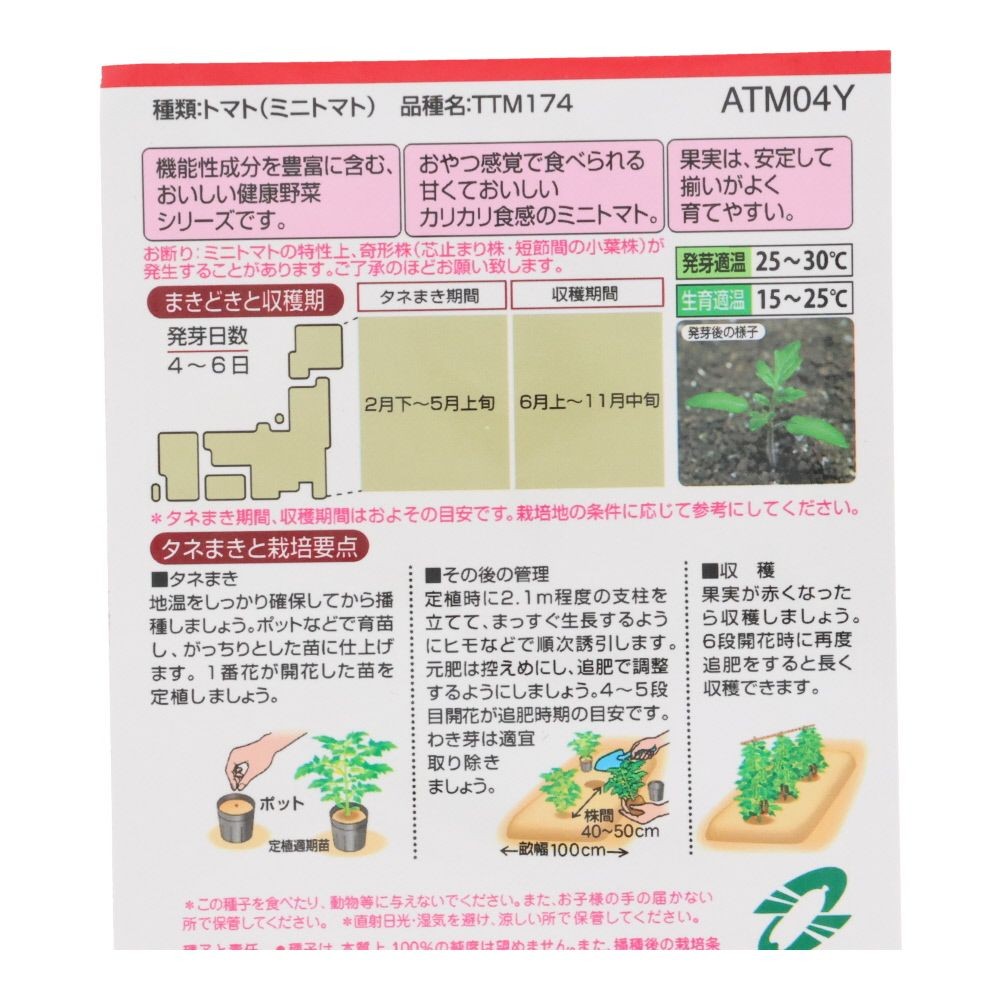 タキイ　ミニトマト　千恋, ミニトマト, 5粒