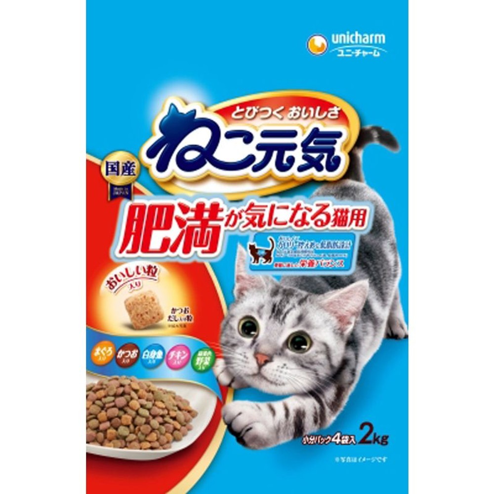 ねこ元気　肥満が気になる猫用　2kg, 肥満が気になる猫用, 2kg