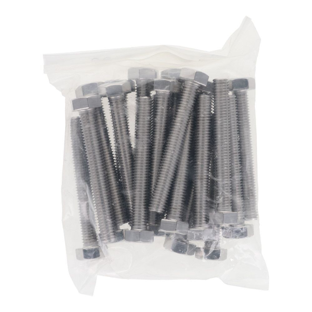 ステンレス　六角ボルト　Ｍ８&times;６０　２０入, ボルト, M8&times;60