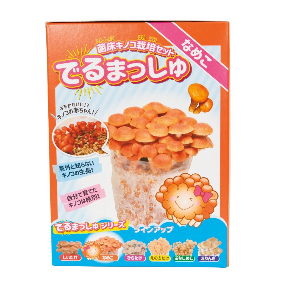 でるまっしゅ　なめこ, -, -