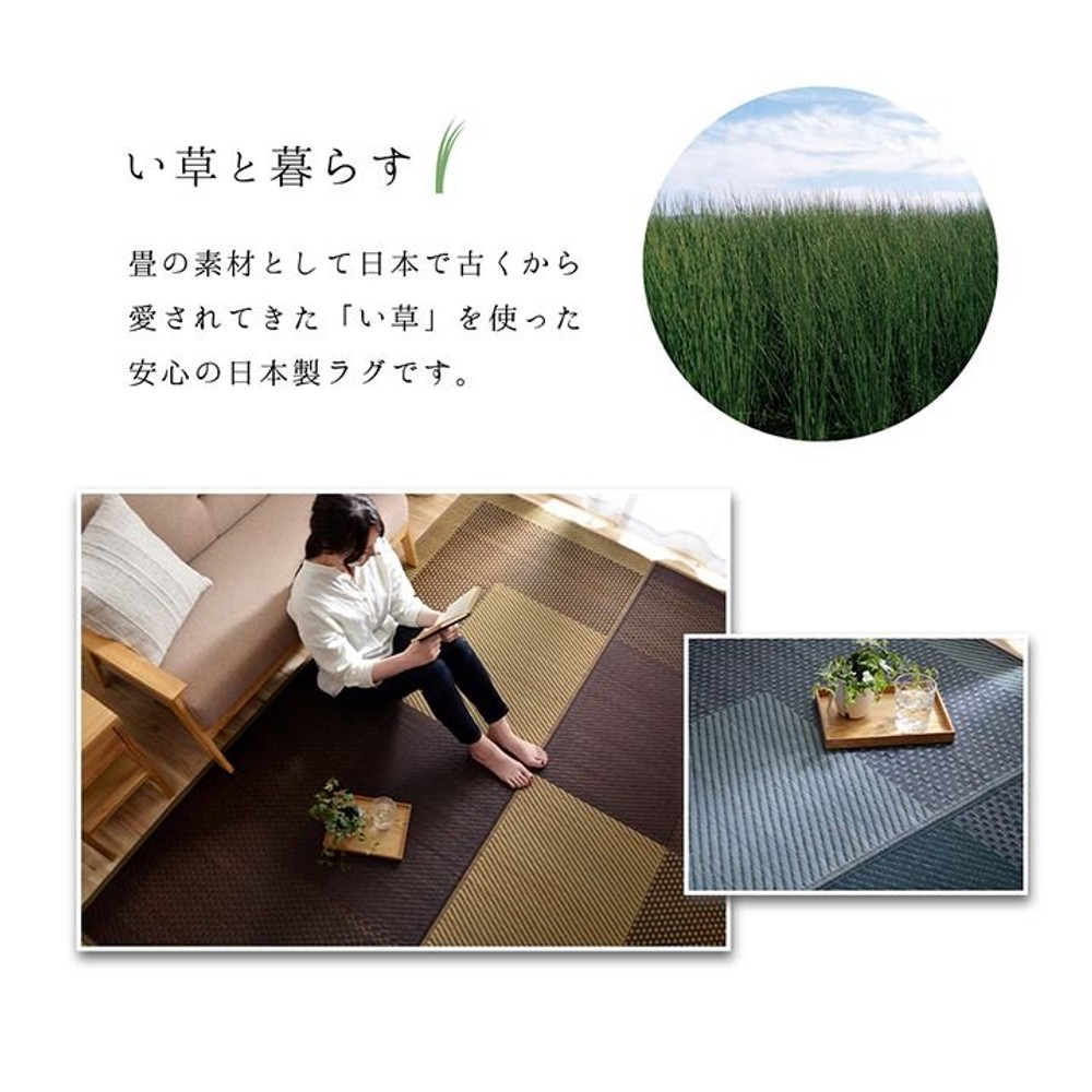 イケヒコ 夏用 い草ラグ シンプル ネイビー 【メーカー直送・代引不可】, ネイビー, 191&times;191cm