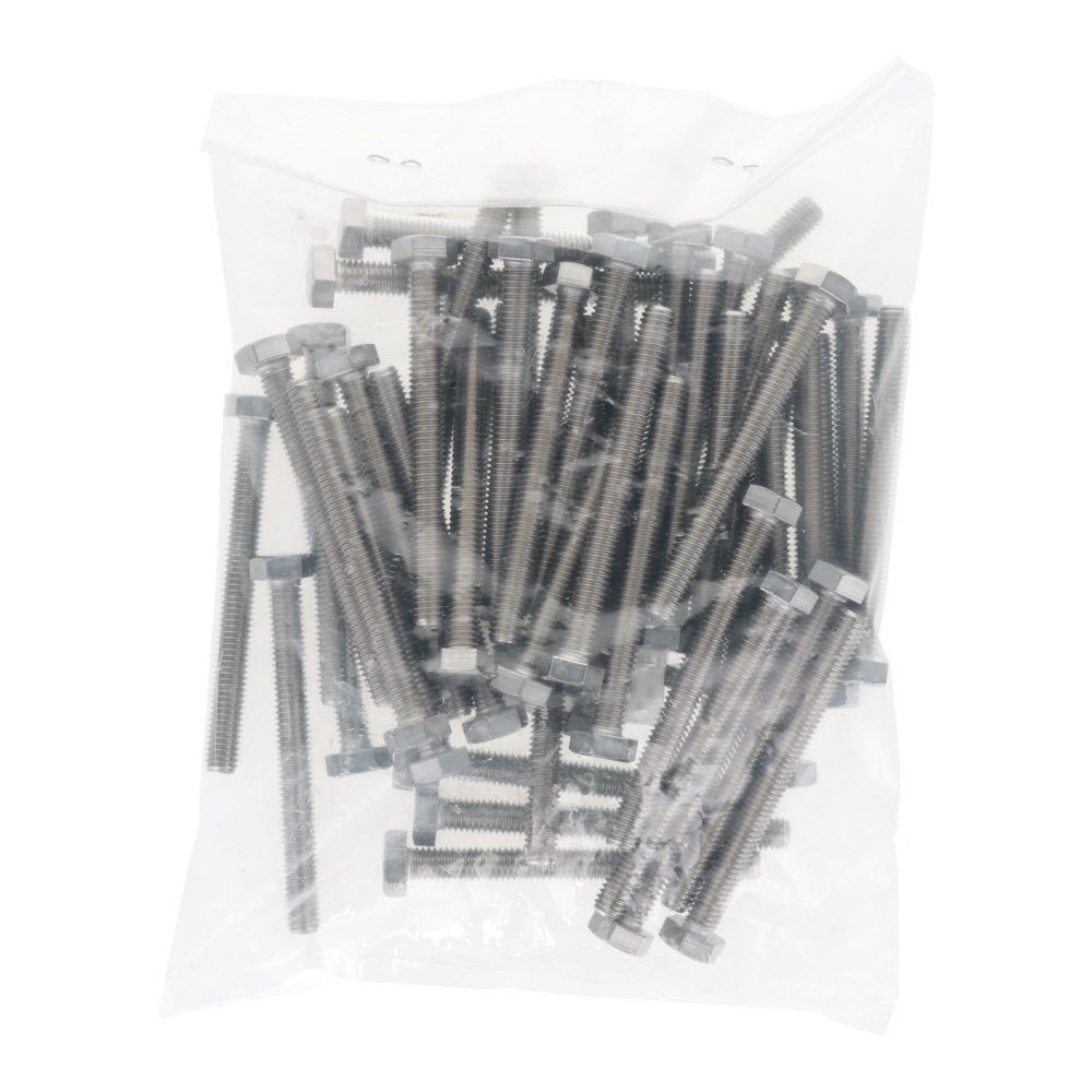 ステンレス　六角ボルト　Ｍ６&times;６０　５０入, ボルト, M6&times;60