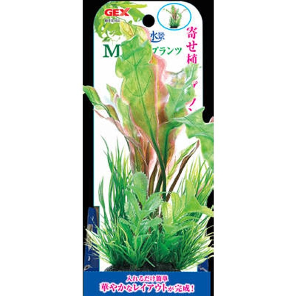 ジェックス　癒し水景ＭＩＸプランツＭアポノ, その他カラー１, その他サイズ１