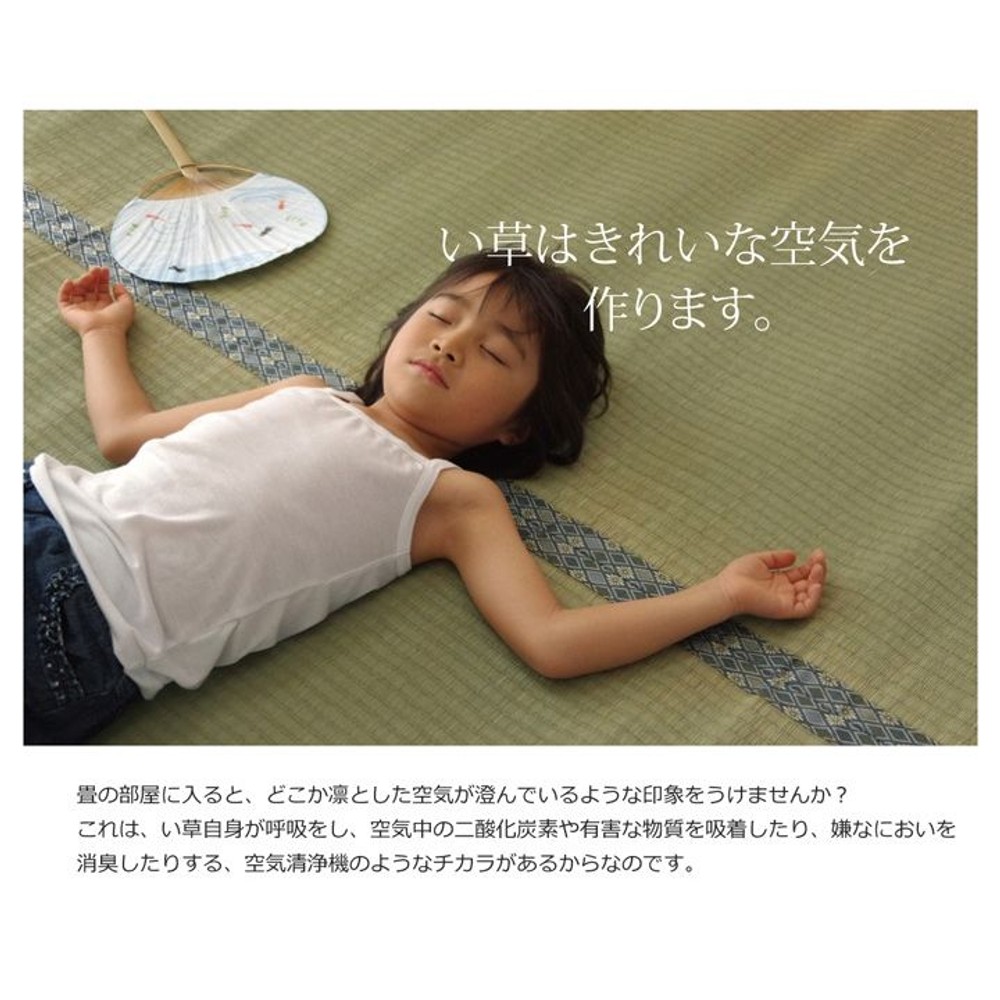 純国産 い草 上敷き カーペット 糸引織 『柿田川』 江戸間 【メーカー直送・代引不可】, い草, 江戸間2畳(約176&times;176cm）
