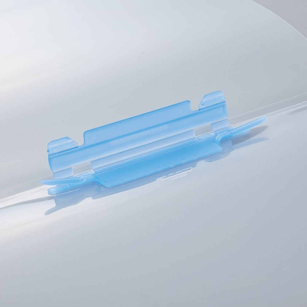 【5個セット】リヒトラブ ルーパーファイル　５Ｐ　青  【メーカー直送・代引不可】, 青, F3006-5Pｱｵ          