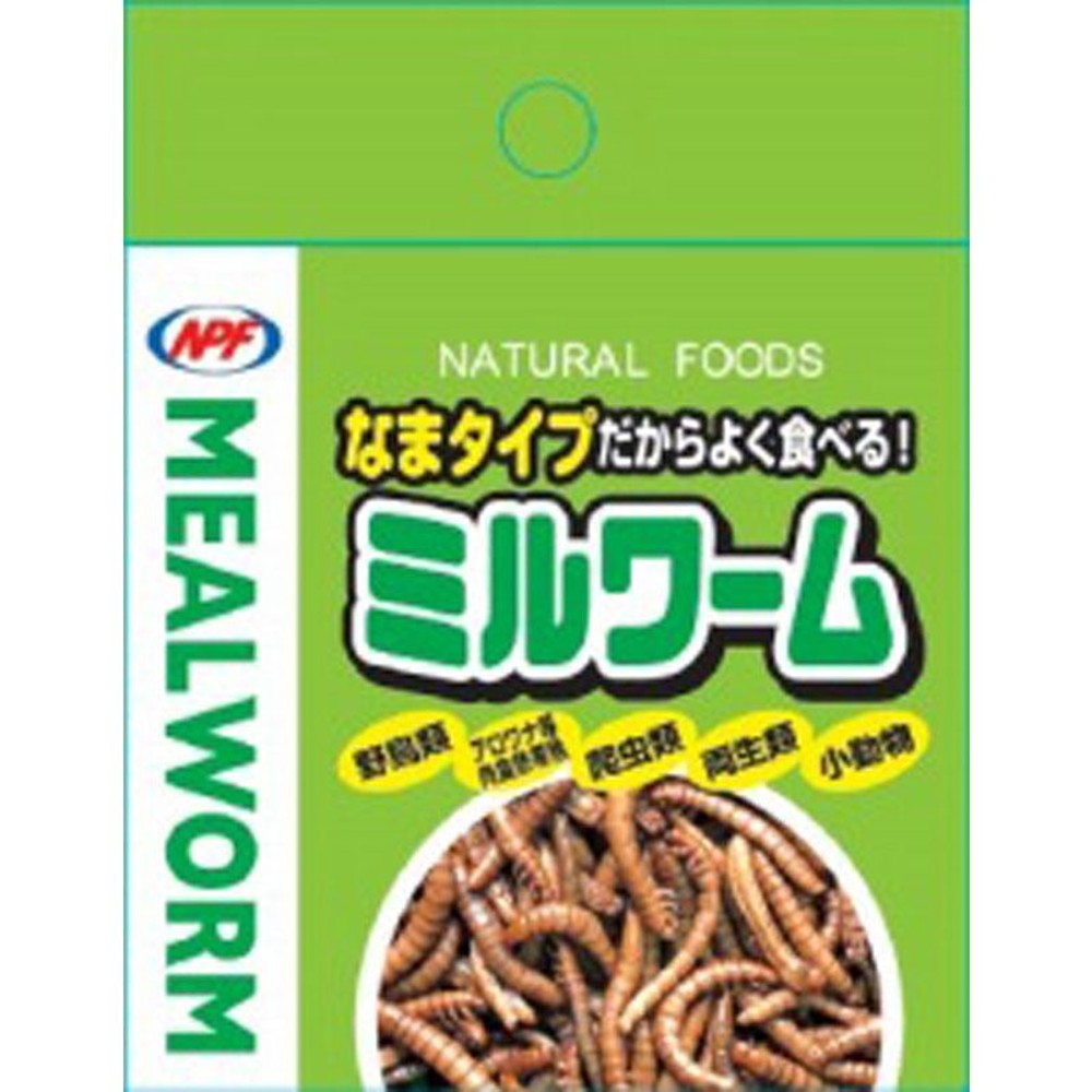 ＮＰＦ　ミルワーム　35ｇ, その他カラー１, その他サイズ１