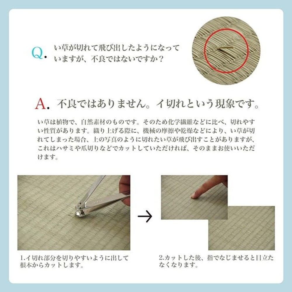 イケヒコ い草カーペット 花ござ ルネ ブラウン 江戸間 【メーカー直送・代引不可】, ブラウン, 江戸間2畳 174&times;174cm