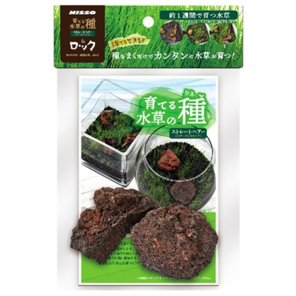 ニッソー　育てる水草の種　ストレートヘアー＆ロック, その他カラー１, その他サイズ１