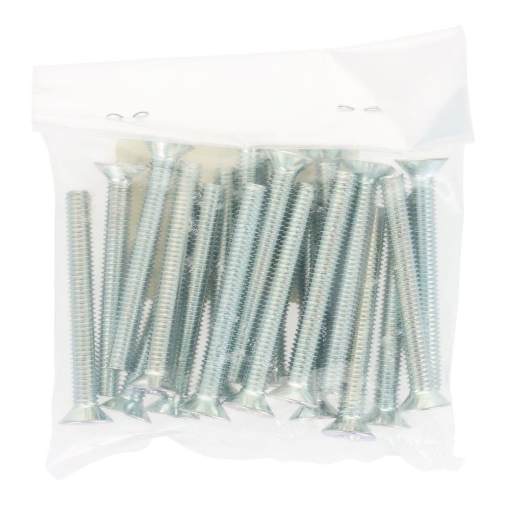 ユニクロ　小ねじ　皿　Ｍ６&times;５０　２０個入り, 小ねじ, M6&times;50