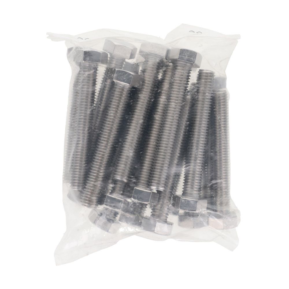 ステンレス　六角ボルト　Ｍ１２&times;８０　２０入, ボルト, M12&times;80