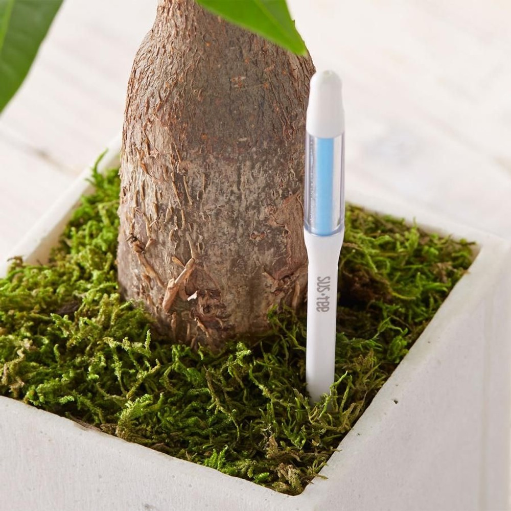 サスティーBulk  水やりチェッカー バルブ Sサイズ, ホワイト, Sサイズ