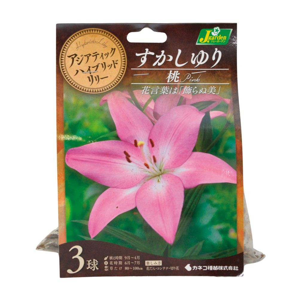 すかしゆり　桃