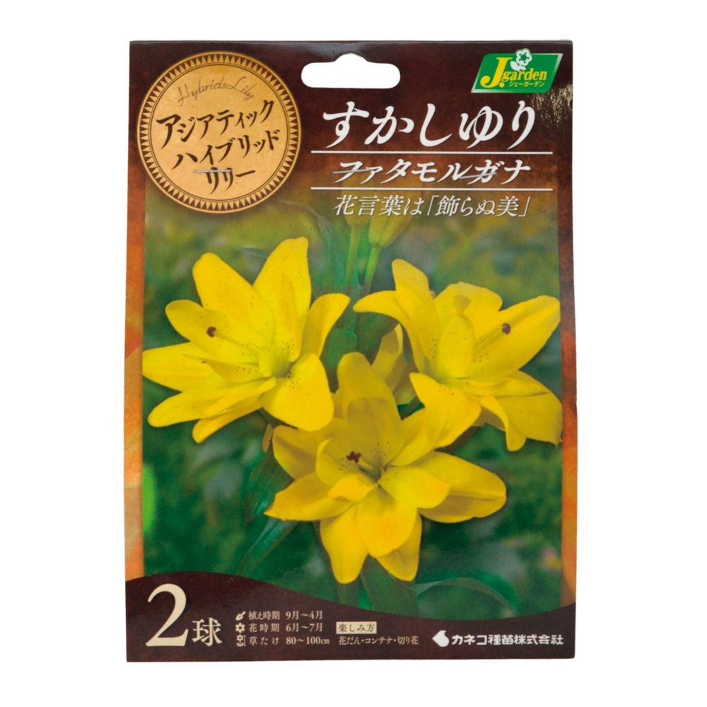 八重咲ユリ　ファタモルガナ        2球, 黄色, 2球