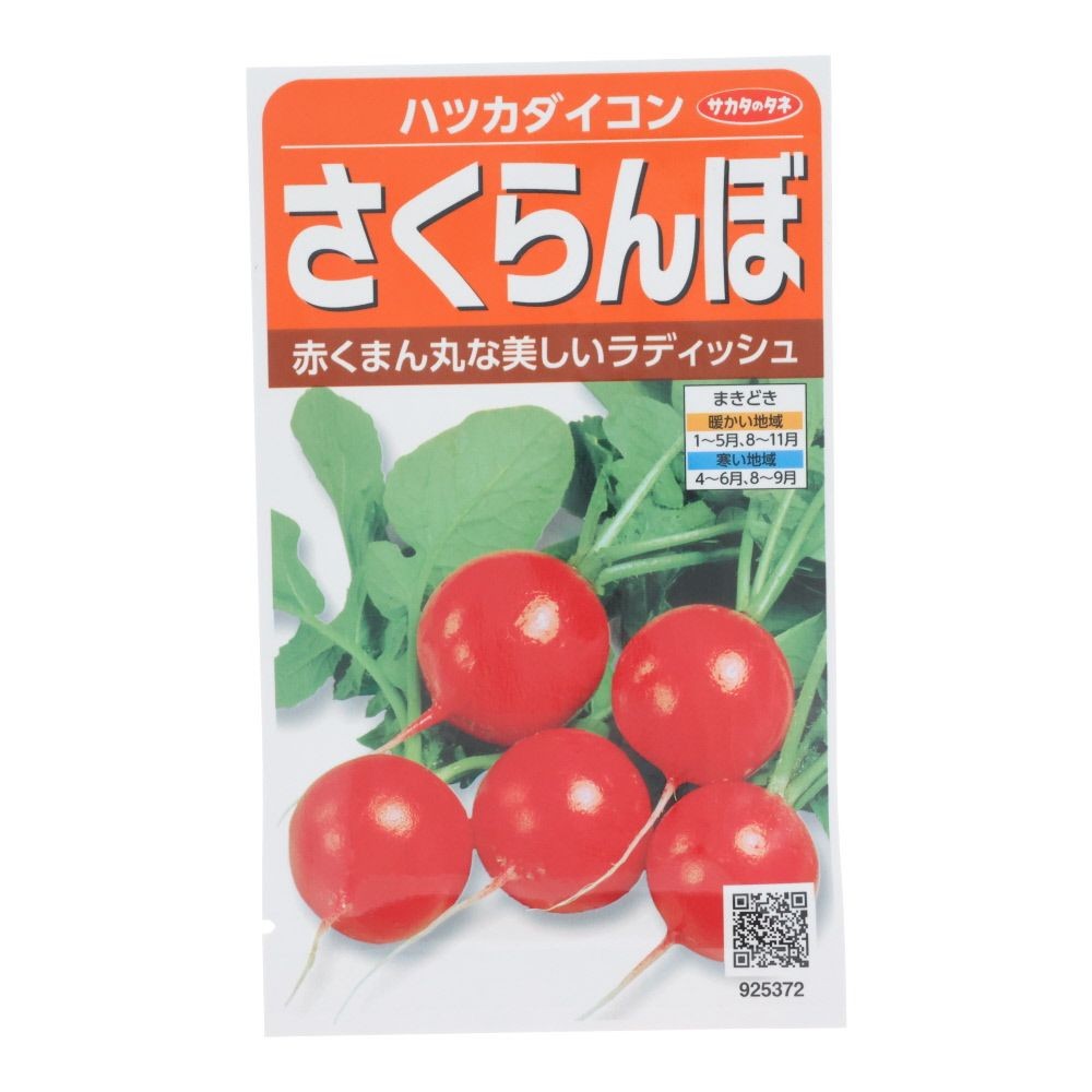 サカタ　ハツカダイコン　さくらんぼ, 二十日大根, 9ml