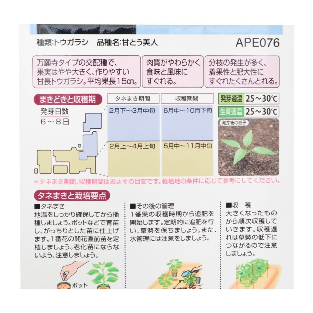 タキイ　万願寺系とうがらし甘とう美人, とうがらし, 15粒
