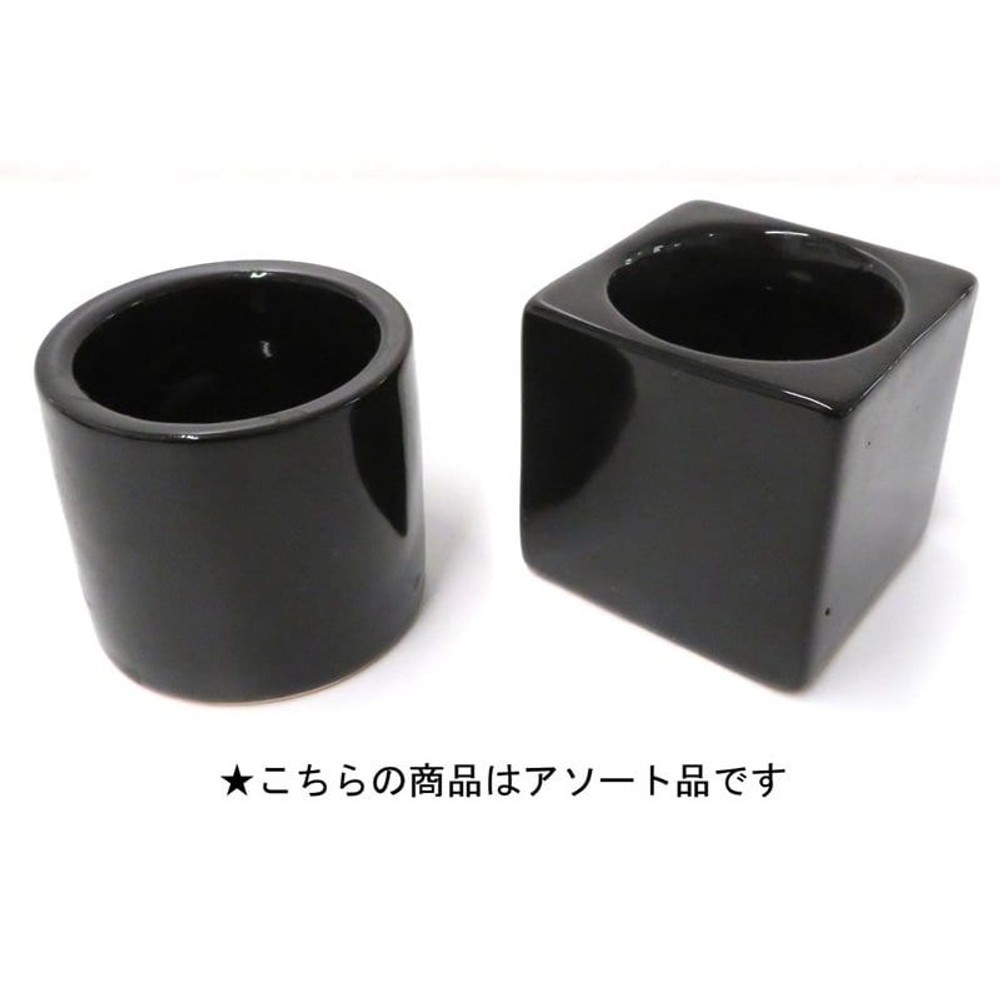 リトルフィットの鉢, 黒, -