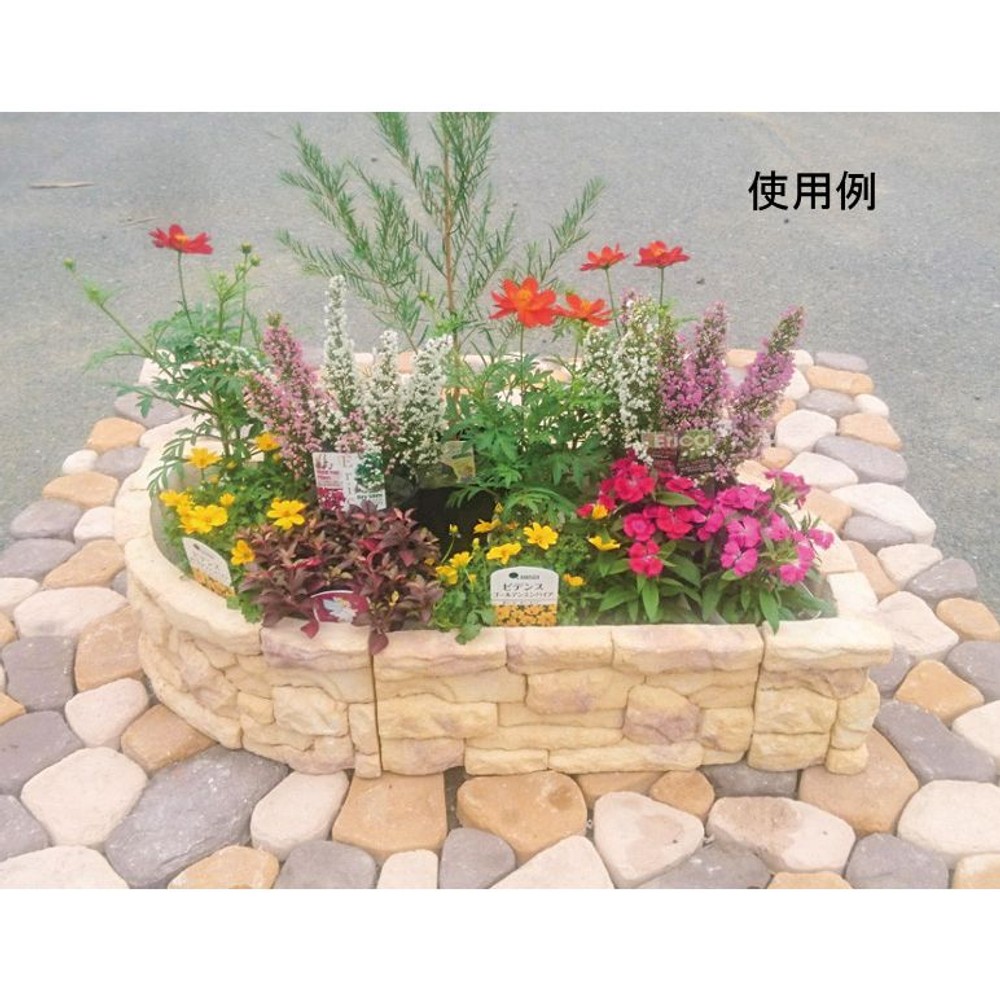 ミニコッツウォルズボーダー, -, -