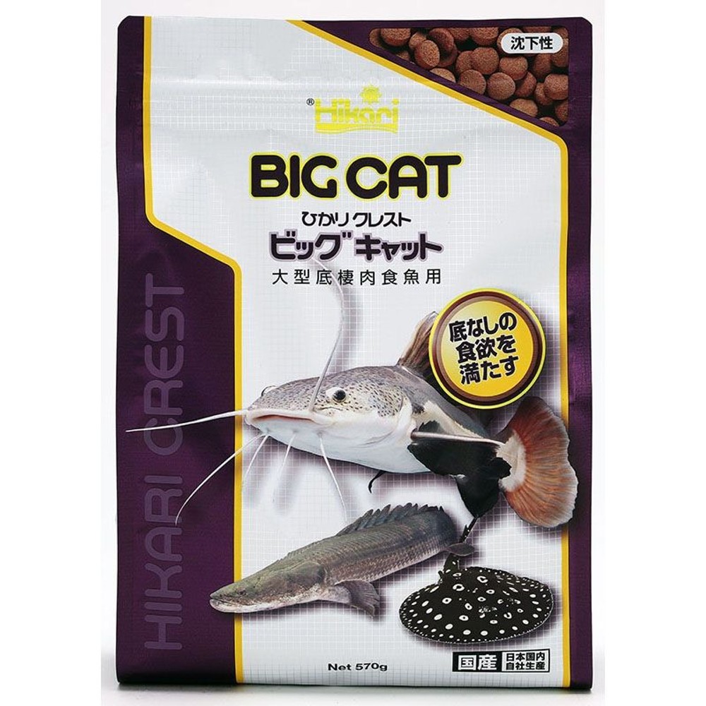 キョーリン　ひかりクレスト　ビッグキャット　570ｇ, その他カラー１, その他サイズ１