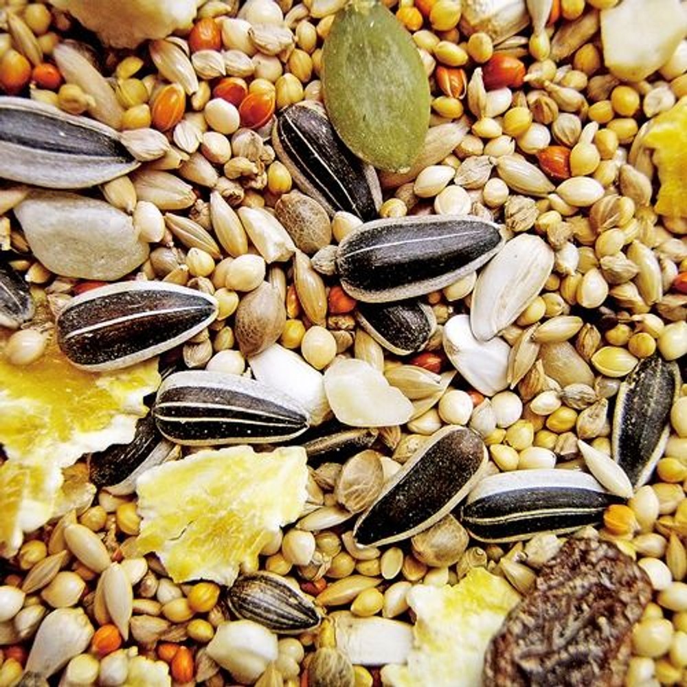 ＮＰＦ　バードテイスト　オカメインコ　1.1kg, オカメインコ専用, 1.1kg