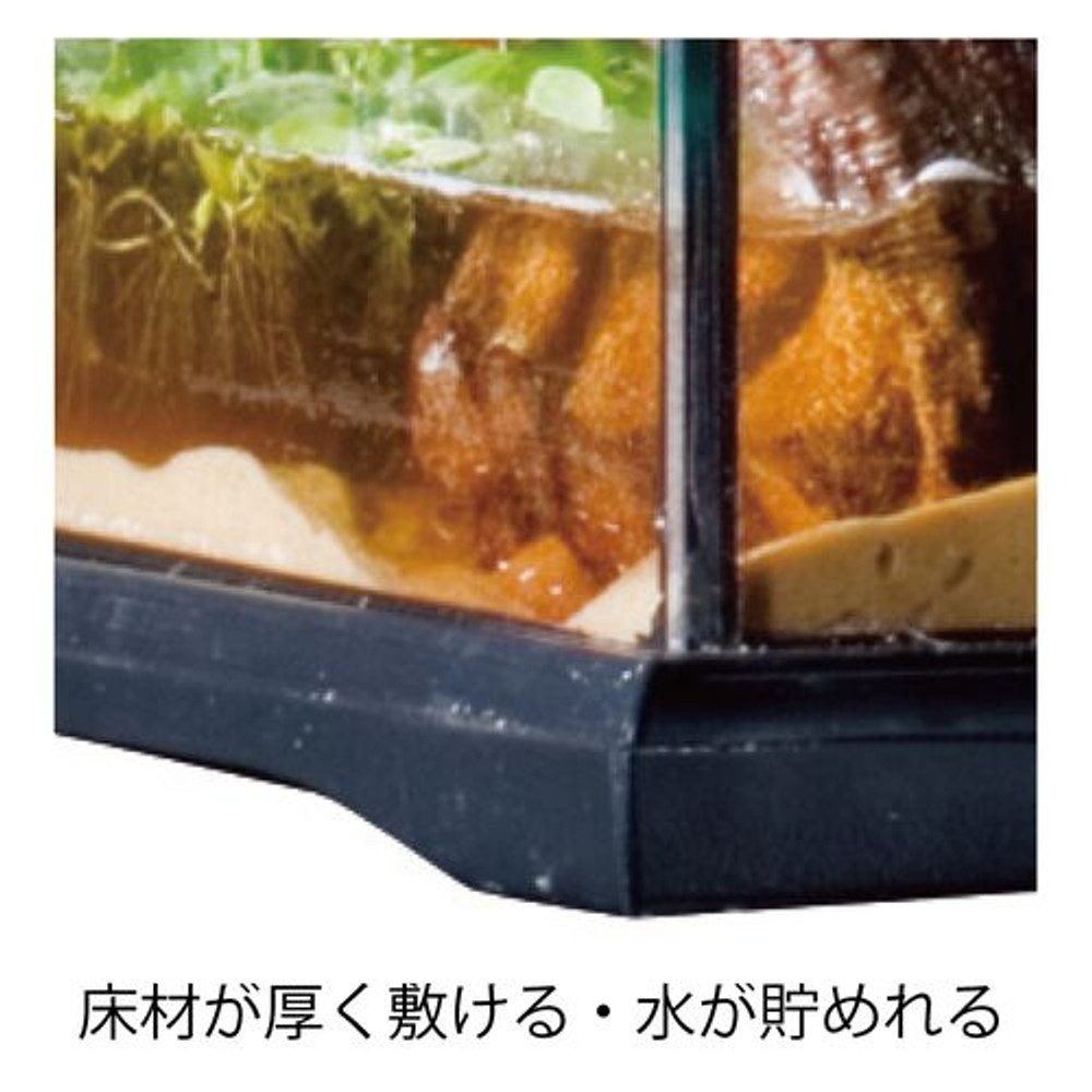 グラステラリウム４５４５ＰＴ２６０５, グラステリウム, 約幅46.5×奥行46.5×高さ48cm